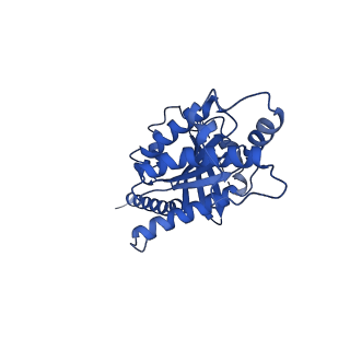 31453_7f4i_A_v1-1
Cryo-EM structure of SHU9119-bound melanocortin-1 receptor in complex with Gs protein and Nb35