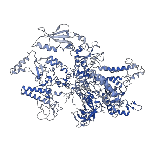 4180_6f40_A_v1-2
RNA Polymerase III open complex