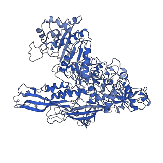 4180_6f40_B_v1-2
RNA Polymerase III open complex