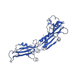 4180_6f40_C_v1-2
RNA Polymerase III open complex