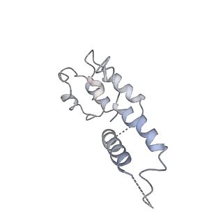 4180_6f40_D_v1-2
RNA Polymerase III open complex