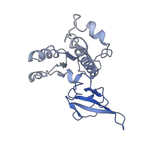 4180_6f40_E_v1-2
RNA Polymerase III open complex