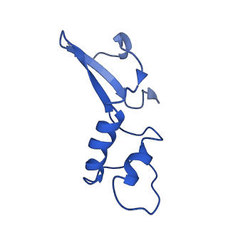 4180_6f40_F_v1-2
RNA Polymerase III open complex