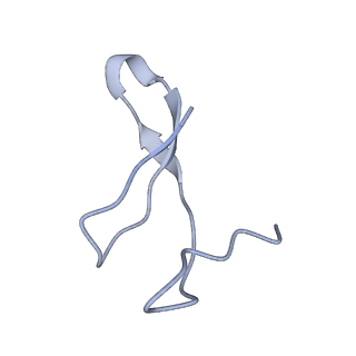 4180_6f40_I_v1-2
RNA Polymerase III open complex