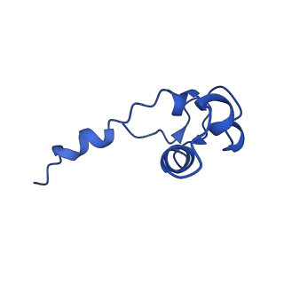 4180_6f40_J_v1-2
RNA Polymerase III open complex