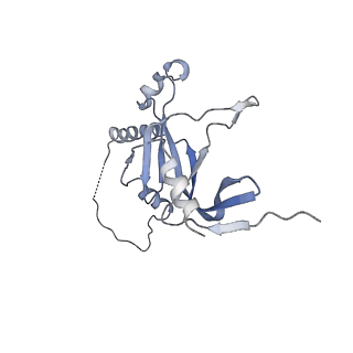 4180_6f40_M_v1-2
RNA Polymerase III open complex