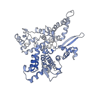 4180_6f40_O_v1-2
RNA Polymerase III open complex