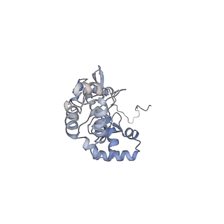 4180_6f40_P_v1-2
RNA Polymerase III open complex