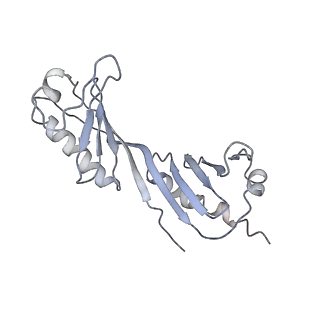 4180_6f40_U_v1-2
RNA Polymerase III open complex