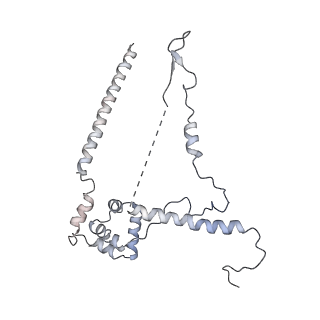 4180_6f40_W_v1-2
RNA Polymerase III open complex