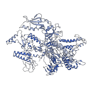 4181_6f41_A_v1-2
RNA Polymerase III initially transcribing complex