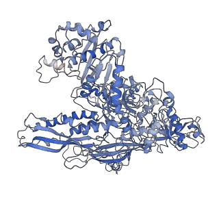 4181_6f41_B_v1-2
RNA Polymerase III initially transcribing complex