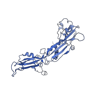 4181_6f41_C_v1-2
RNA Polymerase III initially transcribing complex