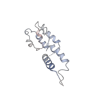 4181_6f41_D_v1-2
RNA Polymerase III initially transcribing complex