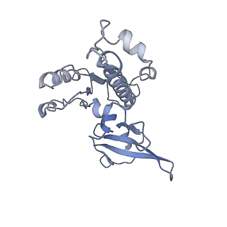 4181_6f41_E_v1-2
RNA Polymerase III initially transcribing complex