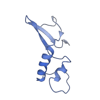 4181_6f41_F_v1-2
RNA Polymerase III initially transcribing complex