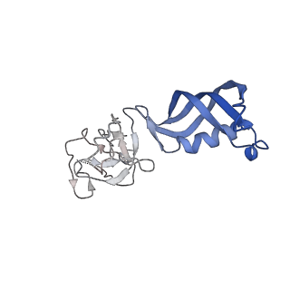 4181_6f41_G_v1-2
RNA Polymerase III initially transcribing complex