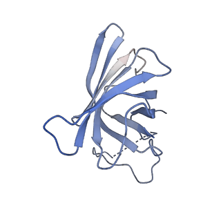4181_6f41_H_v1-2
RNA Polymerase III initially transcribing complex