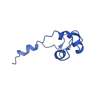 4181_6f41_J_v1-2
RNA Polymerase III initially transcribing complex