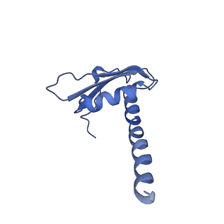4181_6f41_K_v1-2
RNA Polymerase III initially transcribing complex