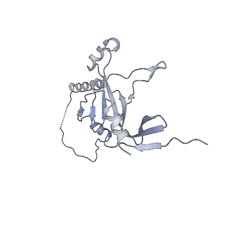 4181_6f41_M_v1-2
RNA Polymerase III initially transcribing complex