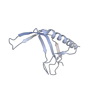 4181_6f41_N_v1-2
RNA Polymerase III initially transcribing complex