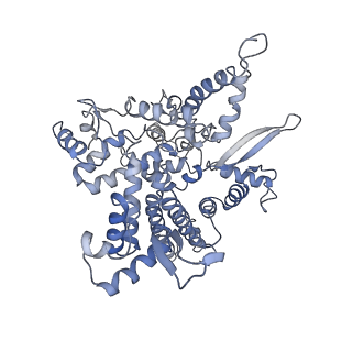 4181_6f41_O_v1-2
RNA Polymerase III initially transcribing complex
