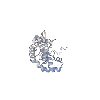4181_6f41_P_v1-2
RNA Polymerase III initially transcribing complex