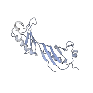 4181_6f41_U_v1-2
RNA Polymerase III initially transcribing complex