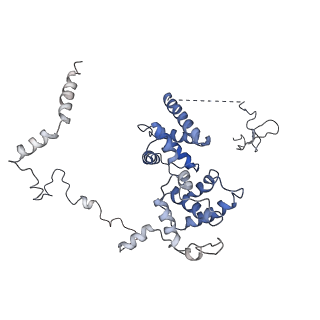 4181_6f41_V_v1-2
RNA Polymerase III initially transcribing complex