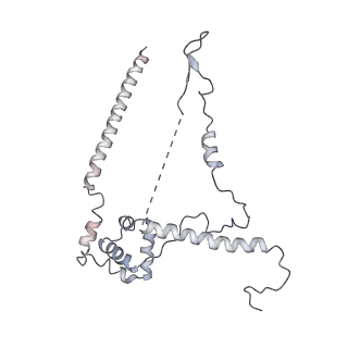 4181_6f41_W_v1-2
RNA Polymerase III initially transcribing complex