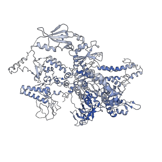 4183_6f44_A_v1-3
RNA Polymerase III closed complex CC2.