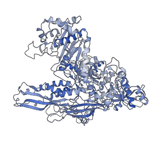 4183_6f44_B_v1-3
RNA Polymerase III closed complex CC2.