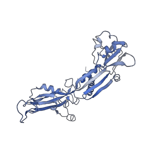 4183_6f44_C_v1-3
RNA Polymerase III closed complex CC2.