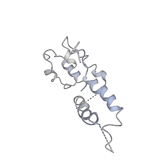 4183_6f44_D_v1-3
RNA Polymerase III closed complex CC2.