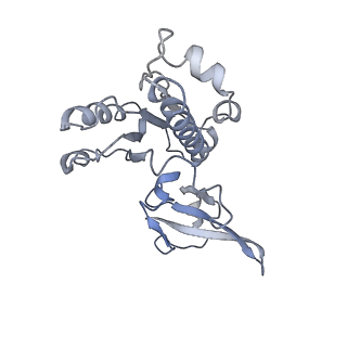 4183_6f44_E_v1-3
RNA Polymerase III closed complex CC2.