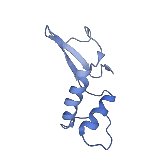 4183_6f44_F_v1-3
RNA Polymerase III closed complex CC2.