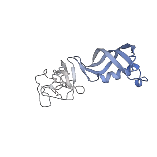 4183_6f44_G_v1-3
RNA Polymerase III closed complex CC2.