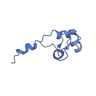 4183_6f44_J_v1-3
RNA Polymerase III closed complex CC2.