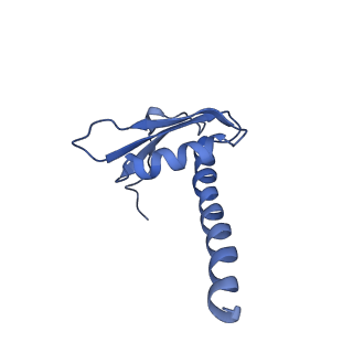 4183_6f44_K_v1-3
RNA Polymerase III closed complex CC2.