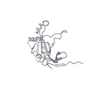 4183_6f44_M_v1-3
RNA Polymerase III closed complex CC2.