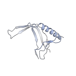 4183_6f44_N_v1-3
RNA Polymerase III closed complex CC2.