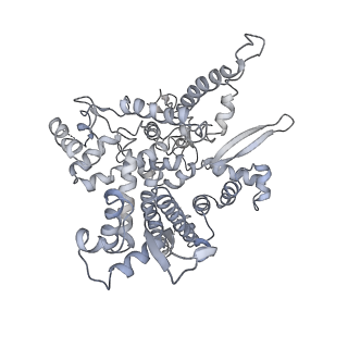 4183_6f44_O_v1-3
RNA Polymerase III closed complex CC2.