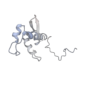 4183_6f44_P_v1-3
RNA Polymerase III closed complex CC2.