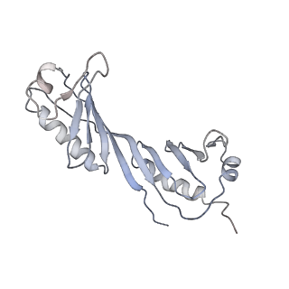 4183_6f44_U_v1-3
RNA Polymerase III closed complex CC2.