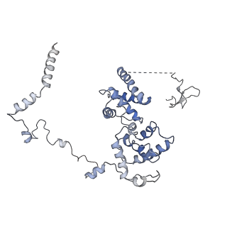 4183_6f44_V_v1-3
RNA Polymerase III closed complex CC2.