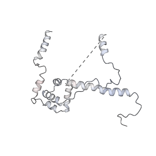 4183_6f44_W_v1-3
RNA Polymerase III closed complex CC2.