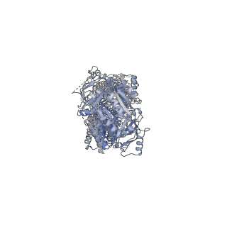 28864_8f5b_A_v1-0
Human ABCA4 structure in complex with AMP-PNP