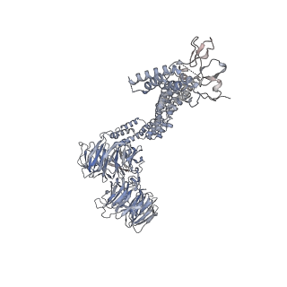 28866_8f5o_B_v1-1
Structure of Leishmania tarentolae IFT-A (state 1)