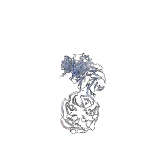 28866_8f5o_C_v1-1
Structure of Leishmania tarentolae IFT-A (state 1)